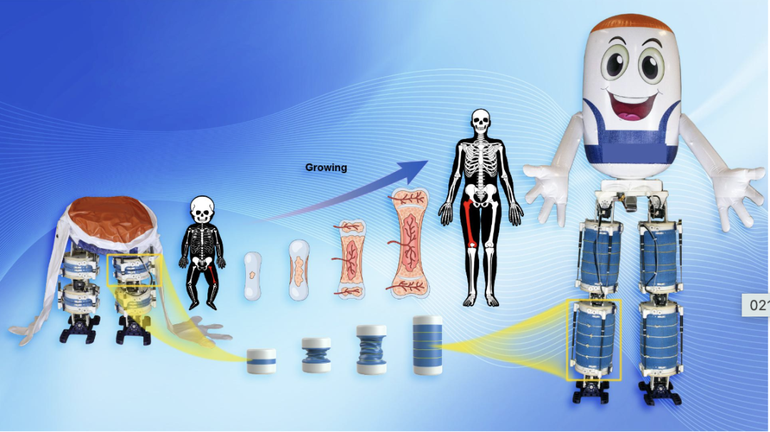 Bone-Mimetic Tech Powers New Soft Humanoid